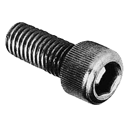 LC D1 LARGE SCREW